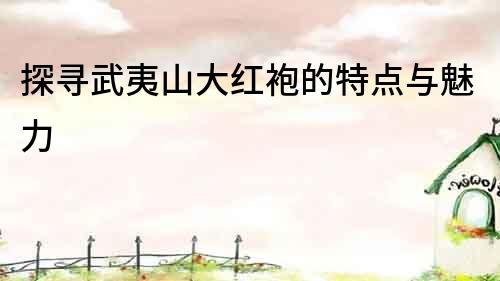 探尋武夷山大紅袍的特點與魅力