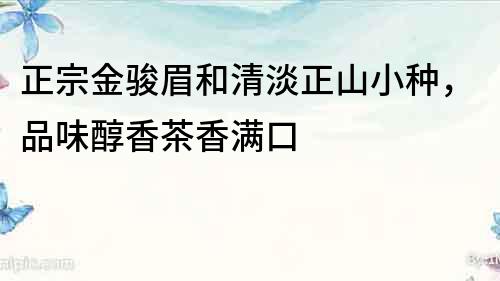 正宗金駿眉和清淡正山小種，品味醇香茶香滿口