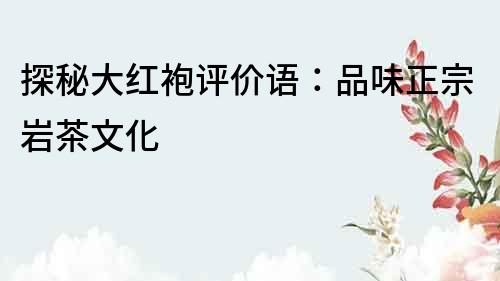 探秘大紅袍評價語：品味正宗巖茶文化