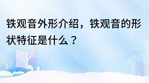 鐵觀音外形介紹，鐵觀音的形狀特征是什么？