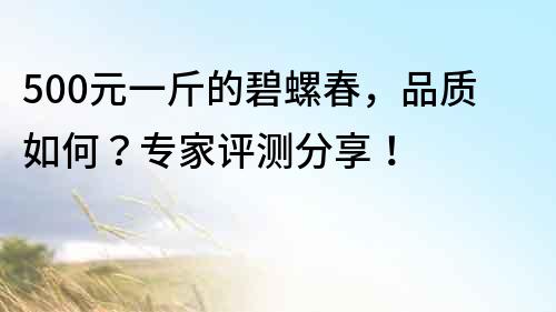 500元一斤的碧螺春，品質如何？專家評測分享！