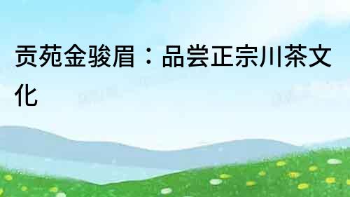 貢苑金駿眉：品嘗正宗川茶文化