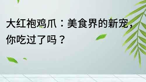 大紅袍雞爪：美食界的新寵，你吃過了嗎？