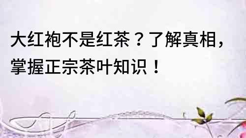 大紅袍不是紅茶？了解真相，掌握正宗茶葉知識！
