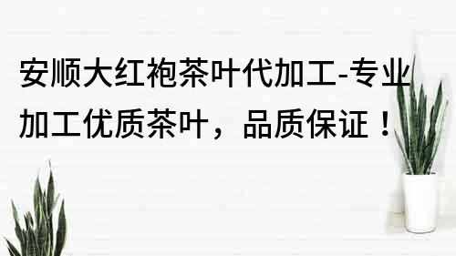 安順大紅袍茶葉代加工-專業(yè)加工優(yōu)質(zhì)茶葉，品質(zhì)保證！