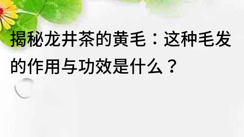 揭秘龍井茶的黃毛：這種毛發(fā)的作用與功效是什么？