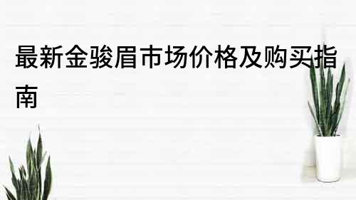 最新金駿眉市場價格及購買指南