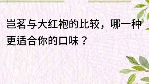 豈茗與大紅袍的比較，哪一種更適合你的口味？