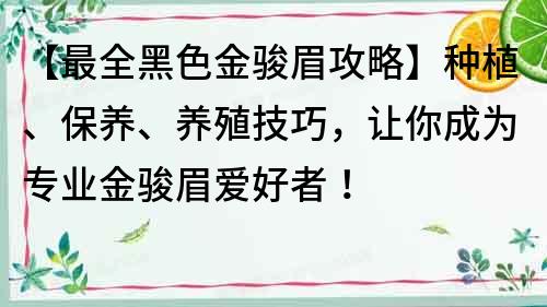 【最全黑色金駿眉攻略】種植、保養(yǎng)、養(yǎng)殖技巧，讓你成為專業(yè)金駿眉愛好者！