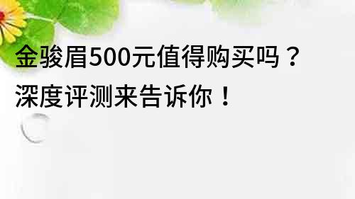 金駿眉500元值得購買嗎？深度評測來告訴你！