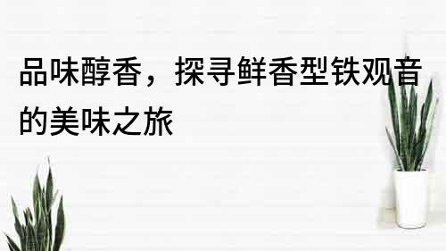 品味醇香，探尋鮮香型鐵觀音的美味之旅
