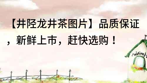 【井陘龍井茶圖片】品質保證，新鮮上市，趕快選購！