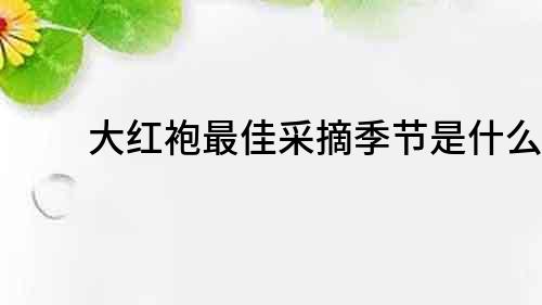 大紅袍最佳采摘季節是什么？