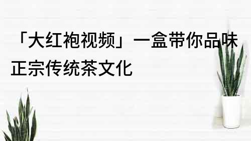 「大紅袍視頻」一盒帶你品味正宗傳統茶文化