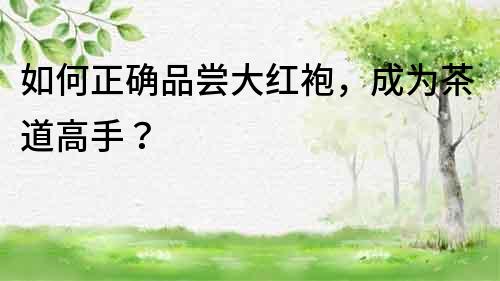 如何正確品嘗大紅袍，成為茶道高手？
