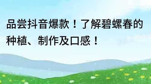 品嘗抖音爆款！了解碧螺春的種植、制作及口感！