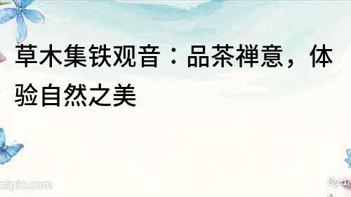 草木集鐵觀音：品茶禪意，體驗(yàn)自然之美