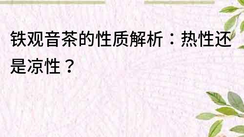 鐵觀音茶的性質(zhì)解析：熱性還是涼性？