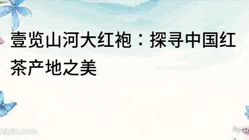 壹覽山河大紅袍：探尋中國紅茶產地之美