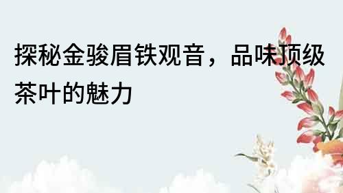 探秘金駿眉鐵觀音，品味頂級茶葉的魅力
