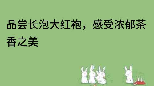 品嘗長泡大紅袍,感受濃郁茶香之美
