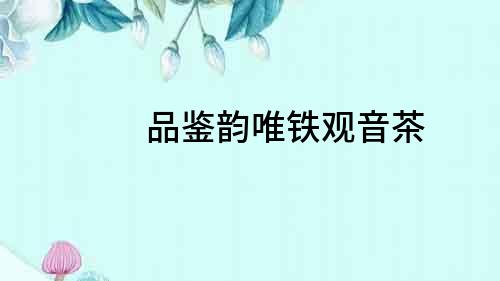 品鑒韻唯鐵觀音茶