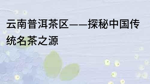 云南普洱茶區——探秘中國傳統名茶之源