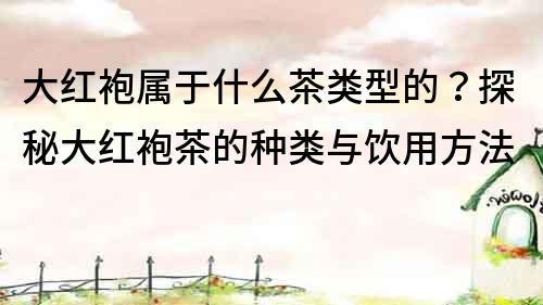 大紅袍屬于什么茶類(lèi)型的？探秘大紅袍茶的種類(lèi)與飲用方法