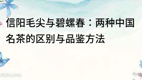 信陽毛尖與碧螺春：兩種中國名茶的區(qū)別與品鑒方法