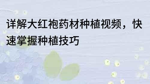 詳解大紅袍藥材種植視頻，快速掌握種植技巧