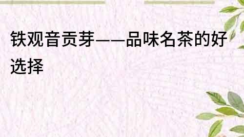 鐵觀音貢芽——品味名茶的好選擇