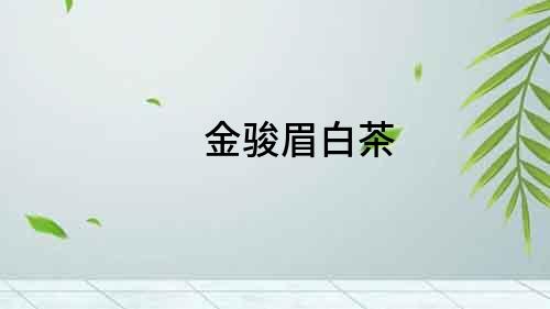 金駿眉白茶