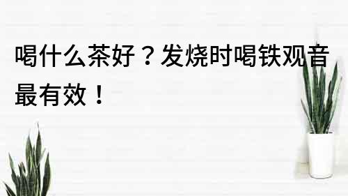 喝什么茶好？發燒時喝鐵觀音最有效！