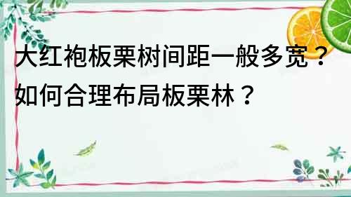 大紅袍板栗樹間距一般多寬？如何合理布局板栗林？