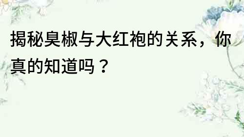 揭秘臭椒與大紅袍的關系，你真的知道嗎？