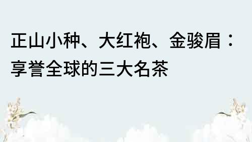 正山小種、大紅袍、金駿眉：享譽全球的三大名茶