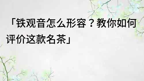 「鐵觀音怎么形容？教你如何評價這款名茶」