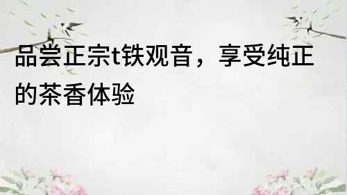 品嘗正宗t鐵觀音，享受純正的茶香體驗(yàn)