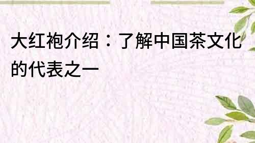 大紅袍介紹：了解中國茶文化的代表之一