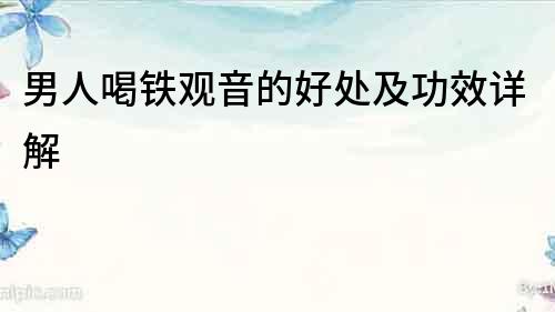 男人喝鐵觀音的好處及功效詳解