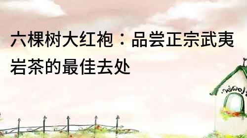 六棵樹大紅袍：品嘗正宗武夷巖茶的最佳去處
