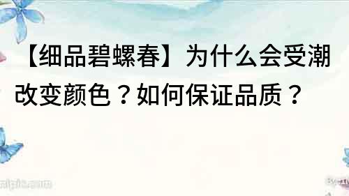 【細品碧螺春】為什么會受潮改變顏色？如何保證品質？