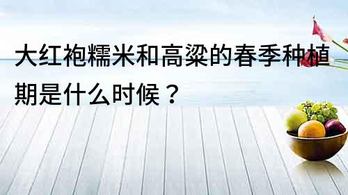 大紅袍糯米和高粱的春季種植期是什么時候？