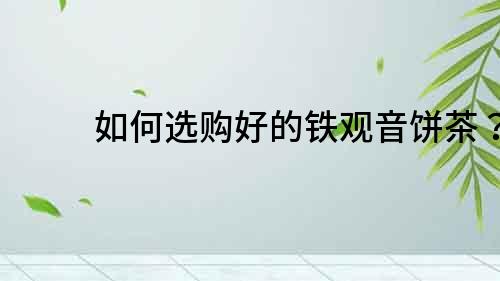 如何選購(gòu)好的鐵觀音餅茶？