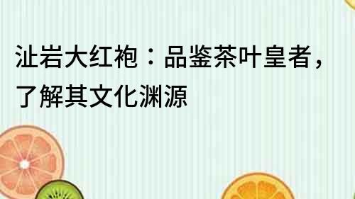 沚巖大紅袍：品鑒茶葉皇者，了解其文化淵源