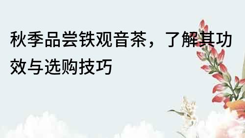 秋季品嘗鐵觀音茶，了解其功效與選購技巧