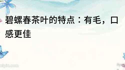 碧螺春茶葉的特點(diǎn)：有毛，口感更佳