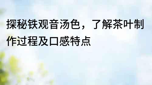 探秘鐵觀音湯色，了解茶葉制作過程及口感特點