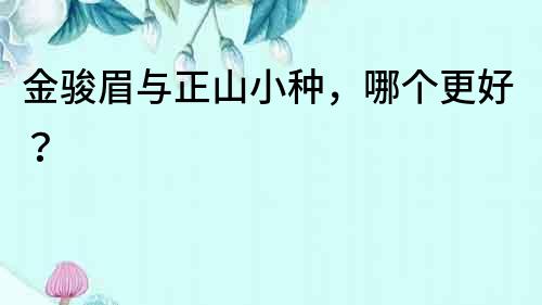 金駿眉與正山小種，哪個更好？