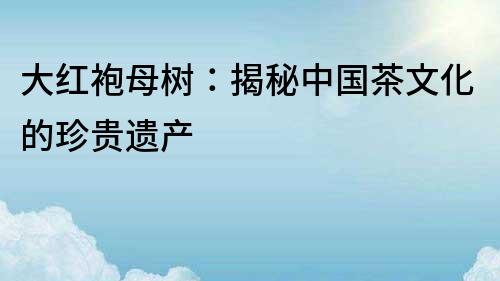 大紅袍母樹：揭秘中國茶文化的珍貴遺產(chǎn)